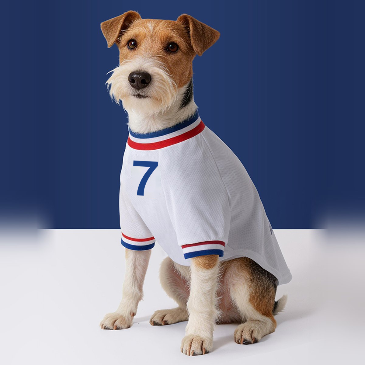 France FFF Pet No.7 Away Jersey - White